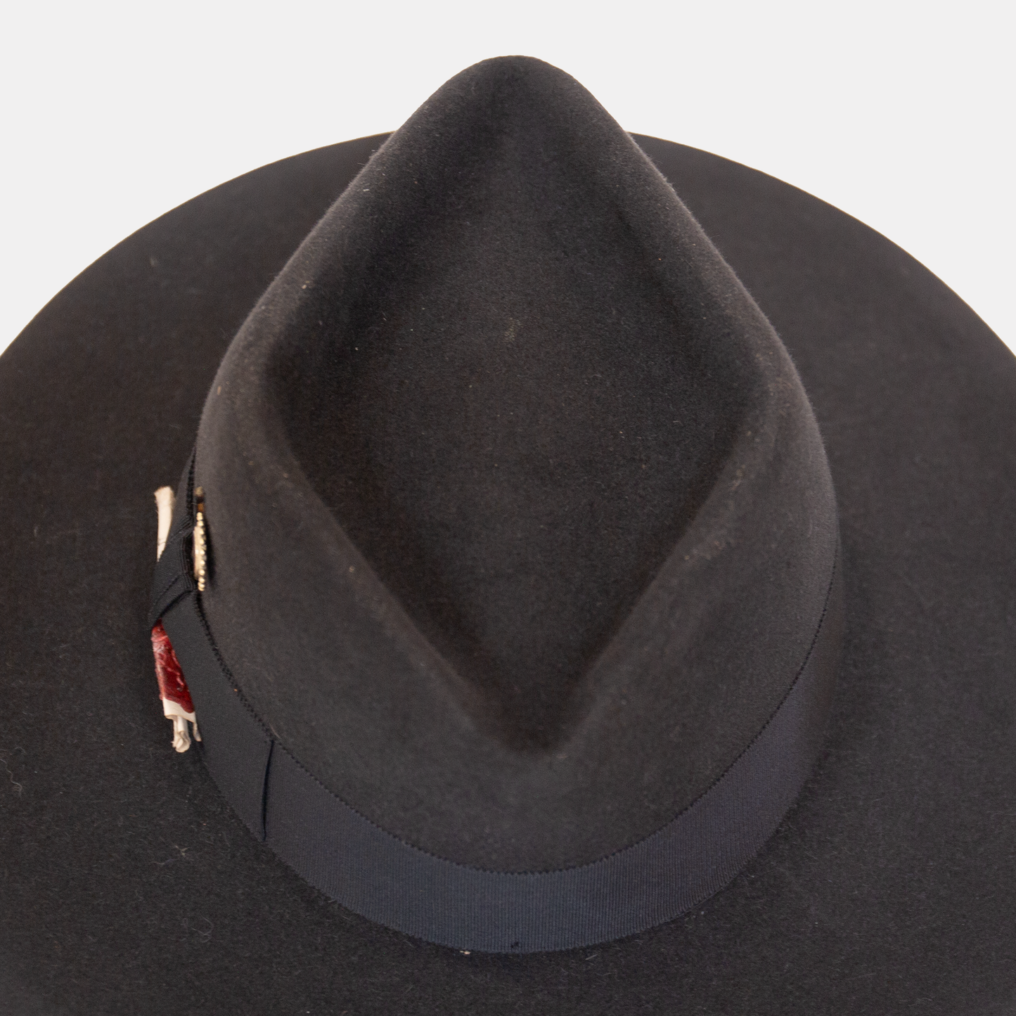 Noir D'Ivoire