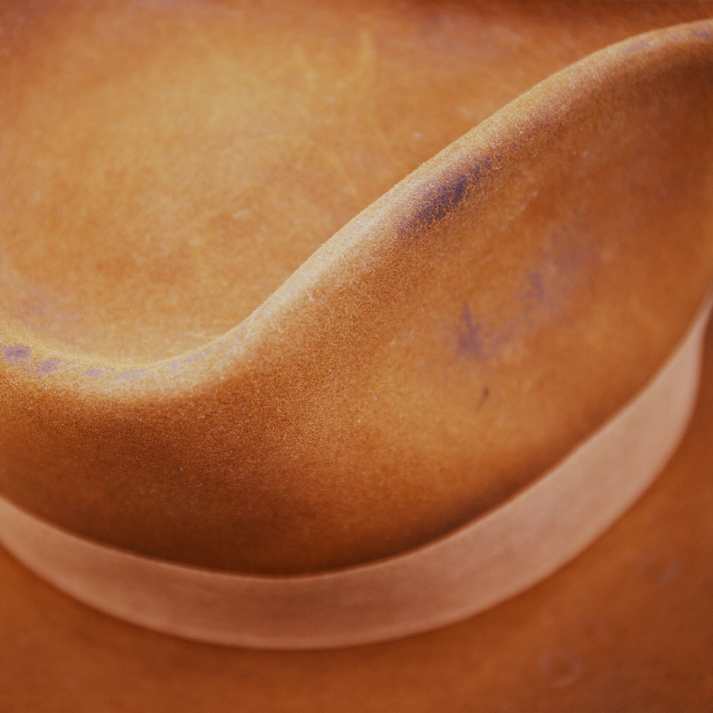 close up from top