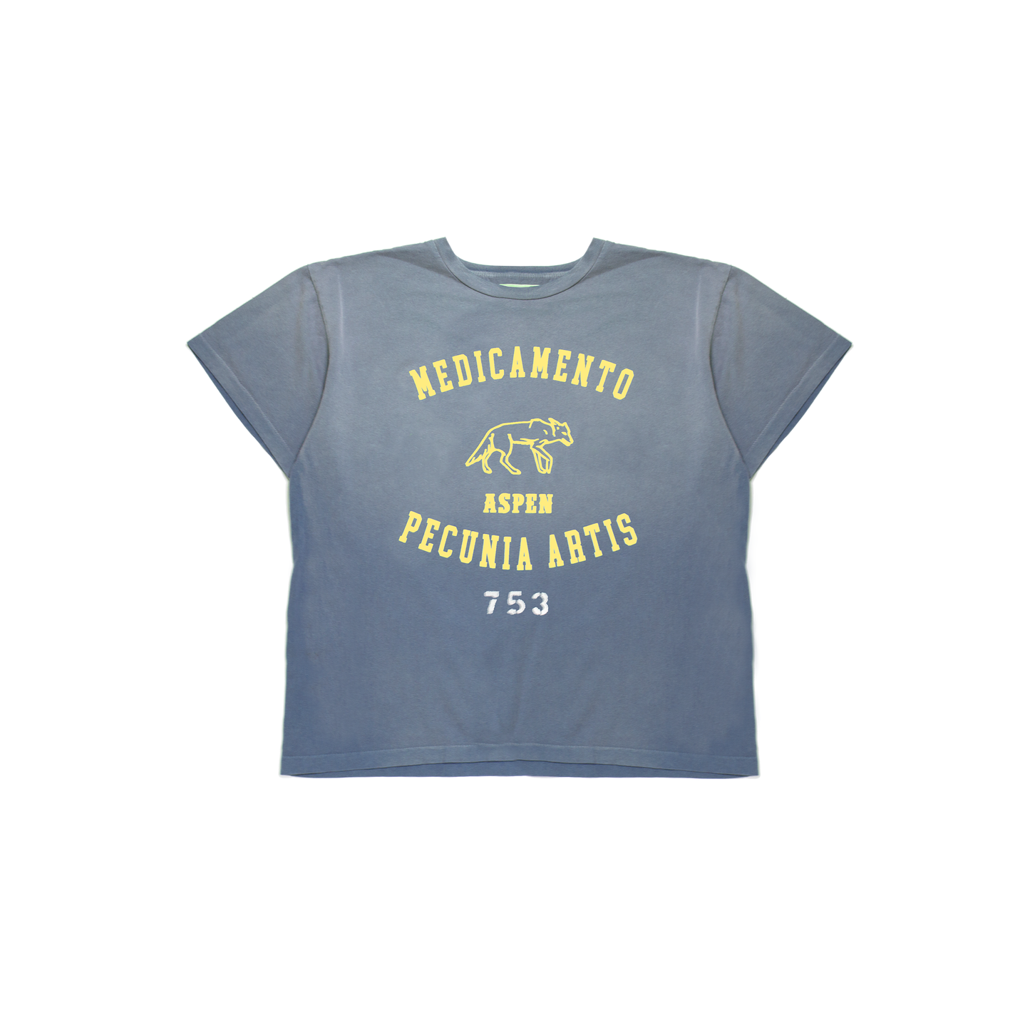 Faded Blue MPA Aspen T-shirt