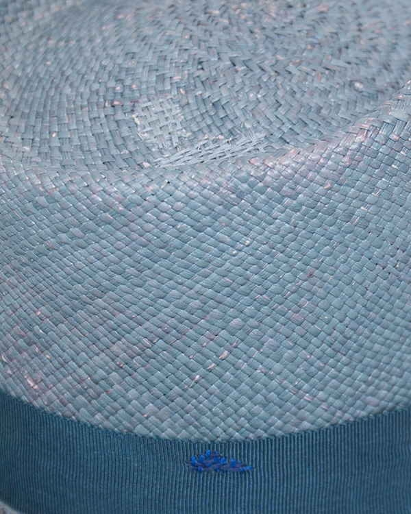 Algues Bleu