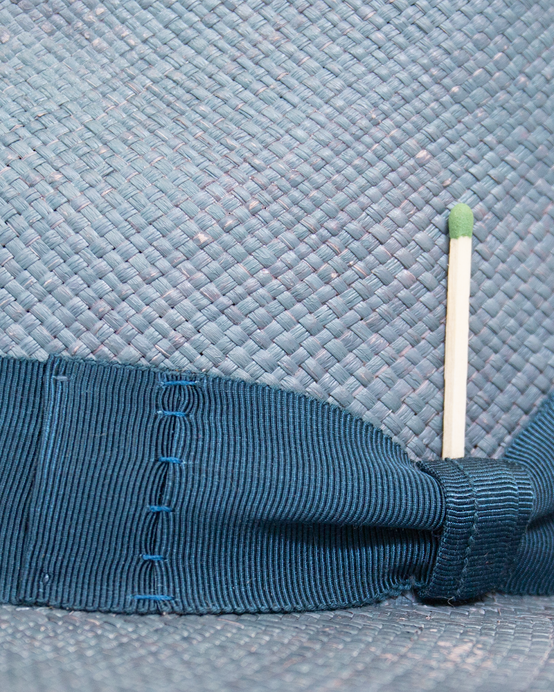 Algues Bleu