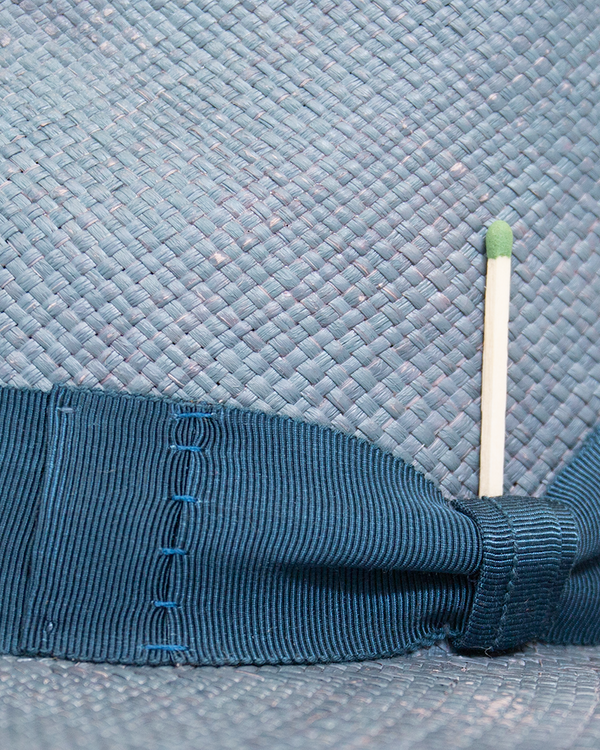 Algues Bleu