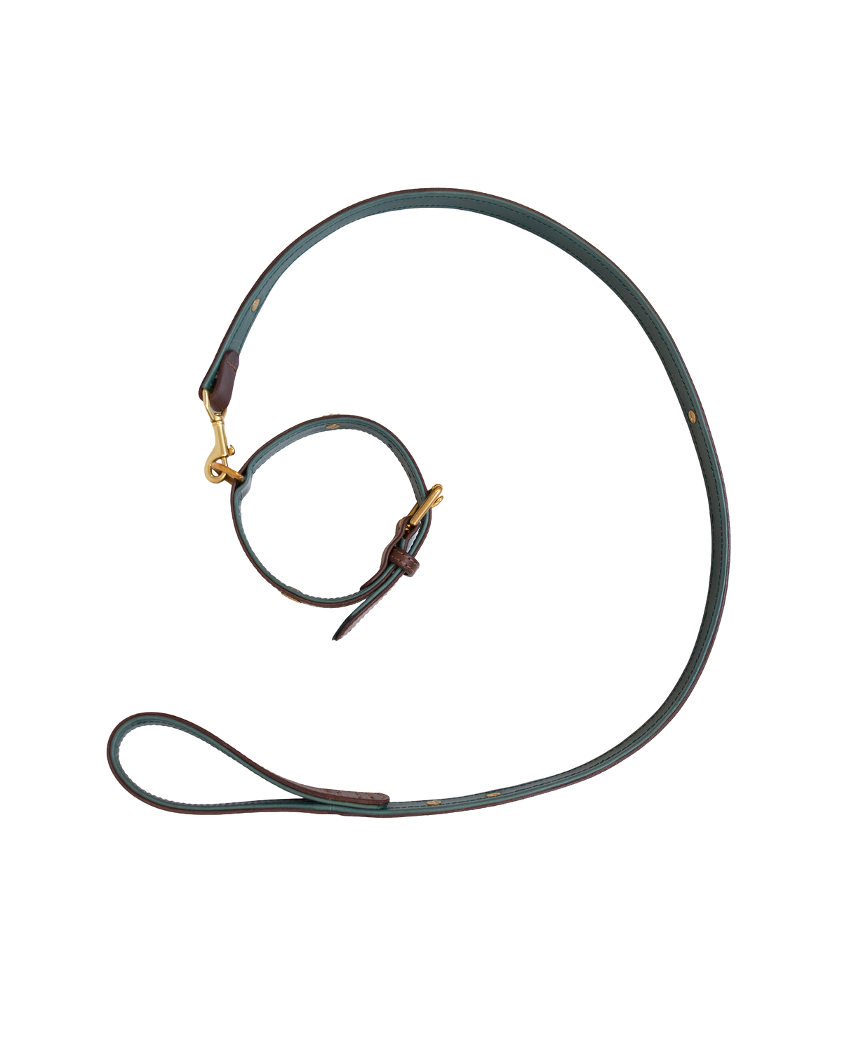 Dog Collar and Leash