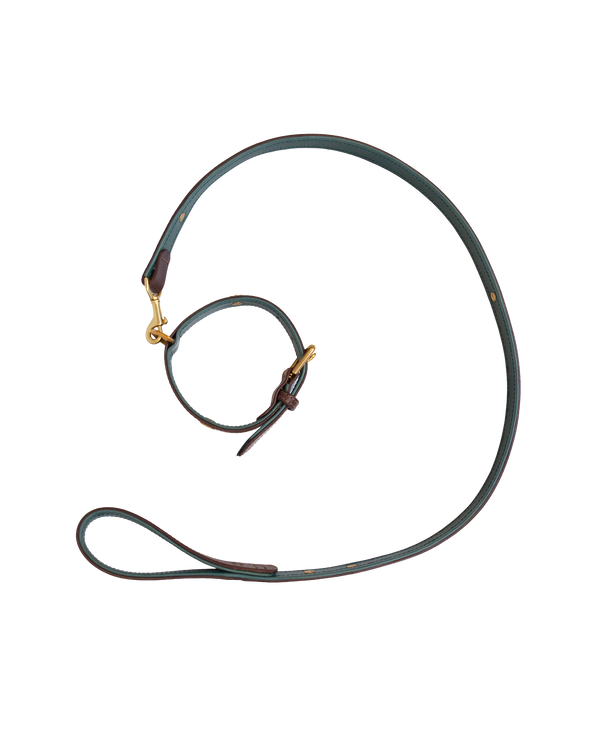 Dog Collar and Leash