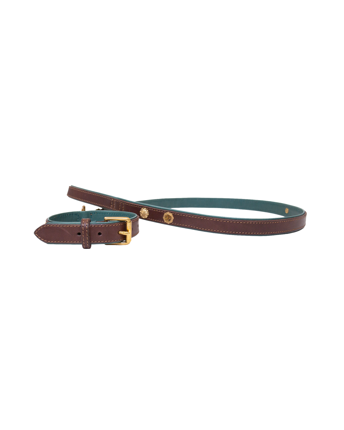 Dog Collar and Leash
