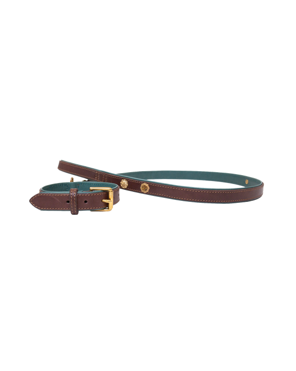 Dog Collar and Leash