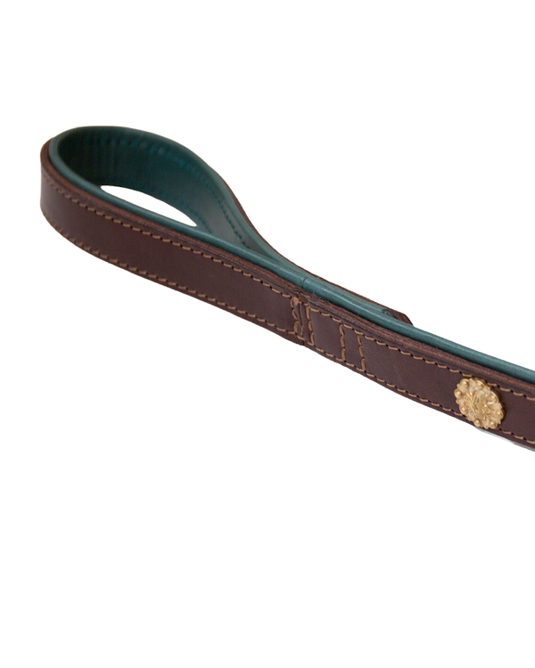 Dog Collar and Leash