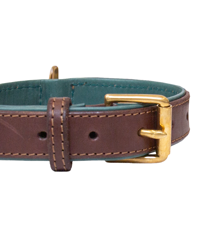 Dog Collar and Leash