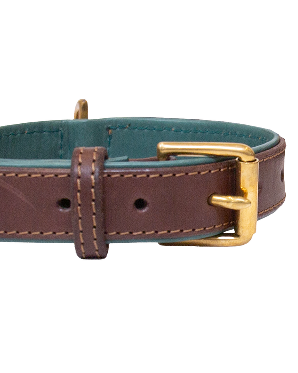 Dog Collar and Leash