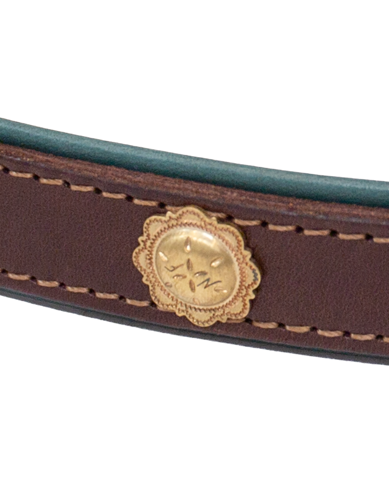 Dog Collar and Leash