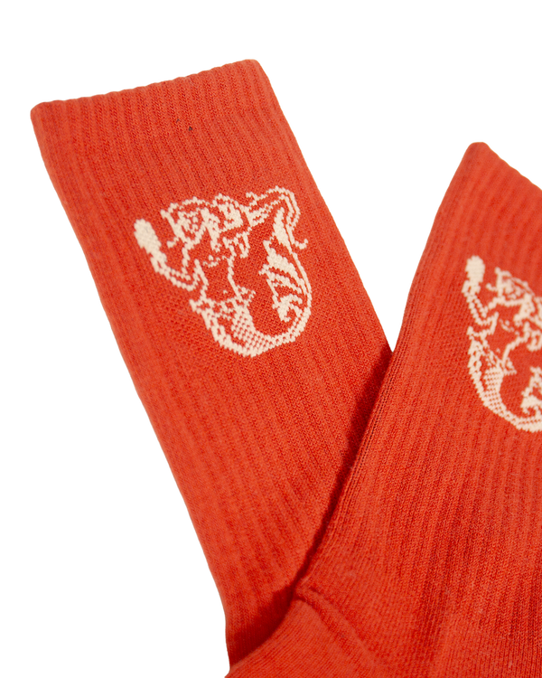 Mermaid Socks