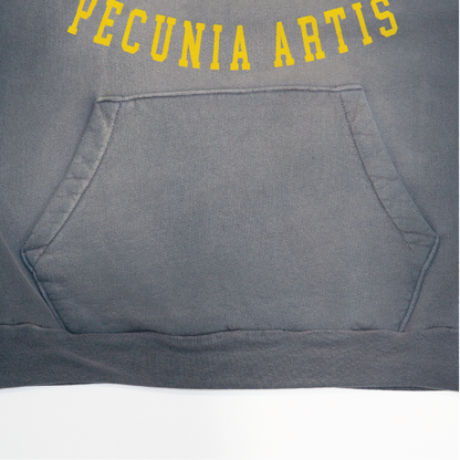 Faded Blue MPA NYC Hoodie